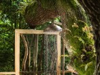 Tree shower Tree shower
